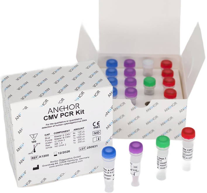 CMV PCR Kit