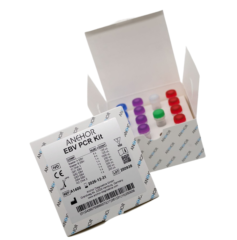 EBV PCR Kit